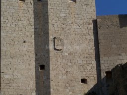 Castillo de Mula 2010